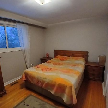 Cozy Apartment With A Spacious Backyard In The Ravine تورونتو المظهر الخارجي الصورة