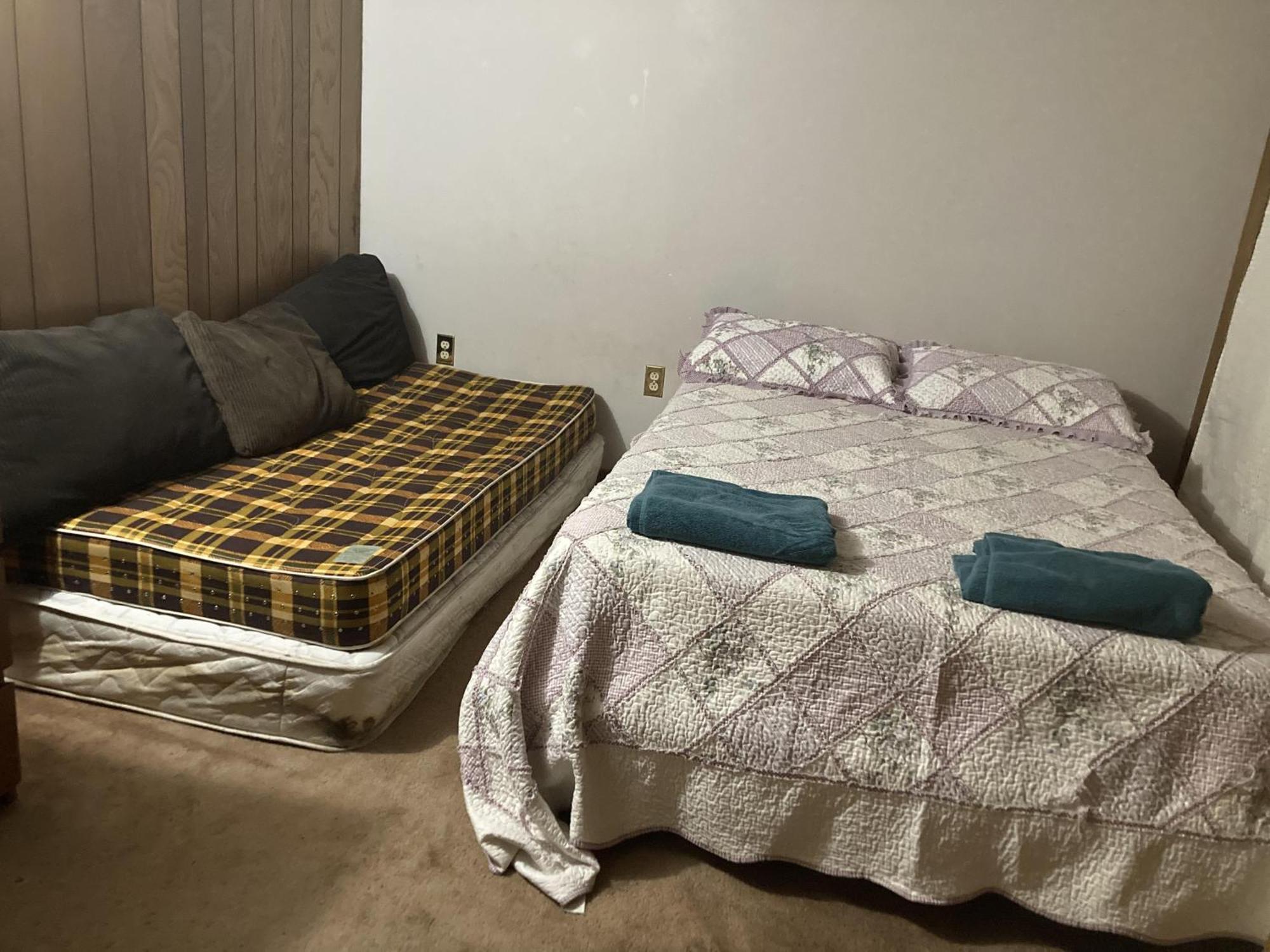 Cozy Apartment With A Spacious Backyard In The Ravine تورونتو المظهر الخارجي الصورة
